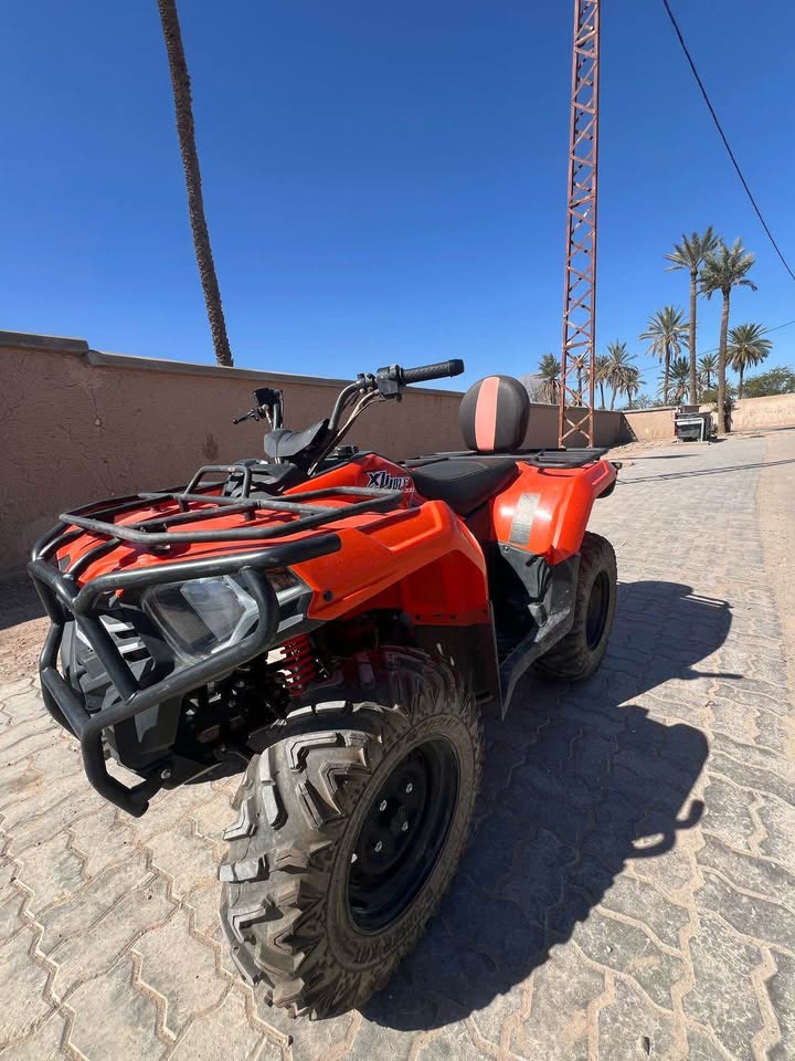 Image de 2 Xwolf 300cc model 2024/12 