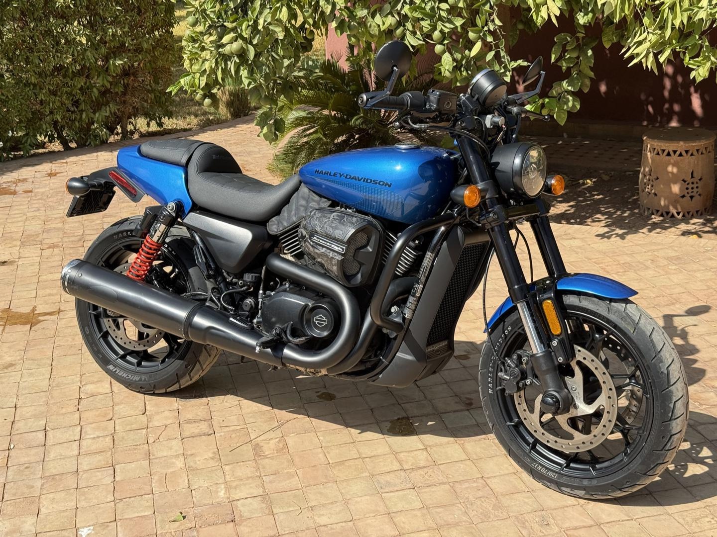 Image de Harley Davidson Street Rod 750